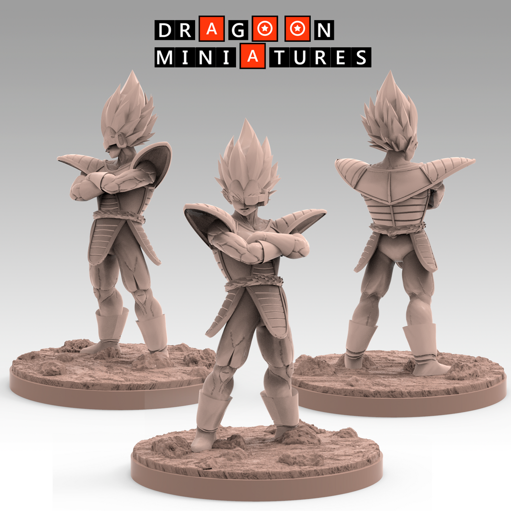 Saiyan Saga P2 - DragonBall Z - 28mm-32mm DnD Pathfinder Tabletop RPG